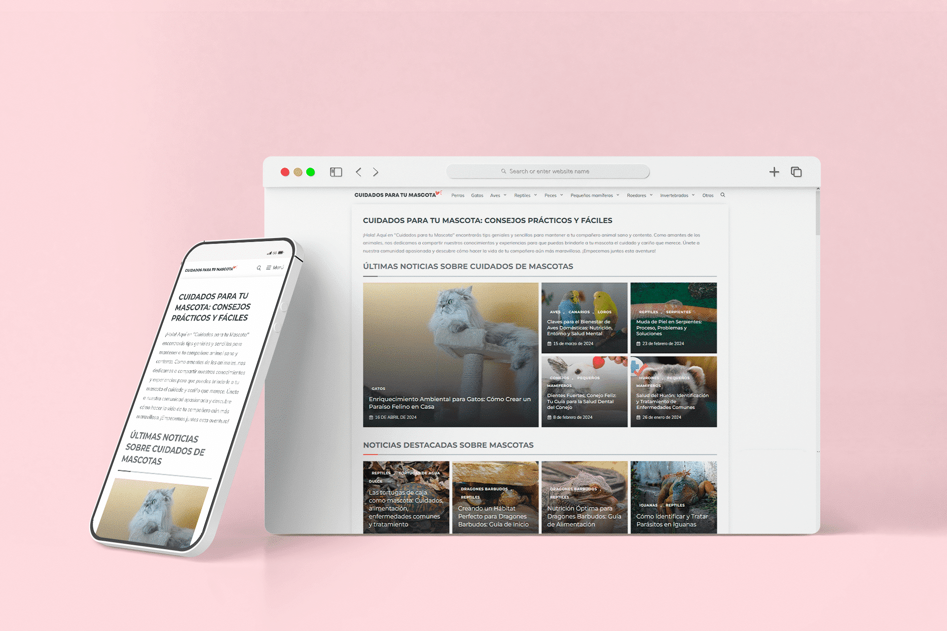Diseño Web para Blog | Crea tu blog profesional desde 300
