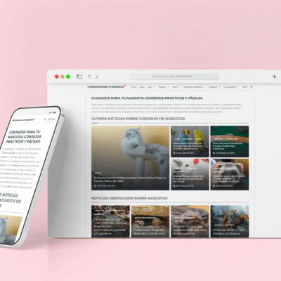 Ejemplo de diseño Web Blog en Gandia